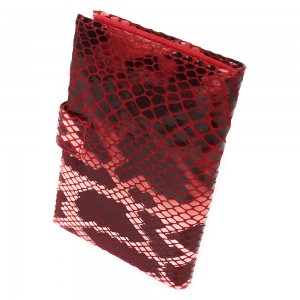 YG-077 Обложка на автодокументы с паспортом Nina Farmina 9230-187