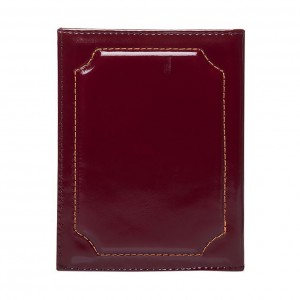 YG-147 Обложка на автодокументы с паспортом