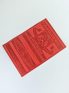 YW-37 Обложка на паспорт глобус